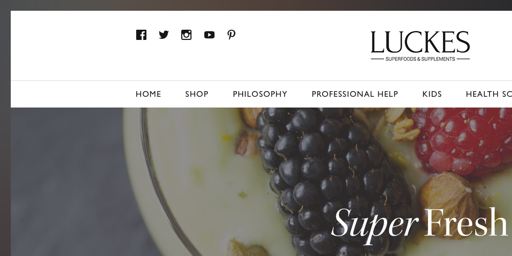 Luckes Website Design
